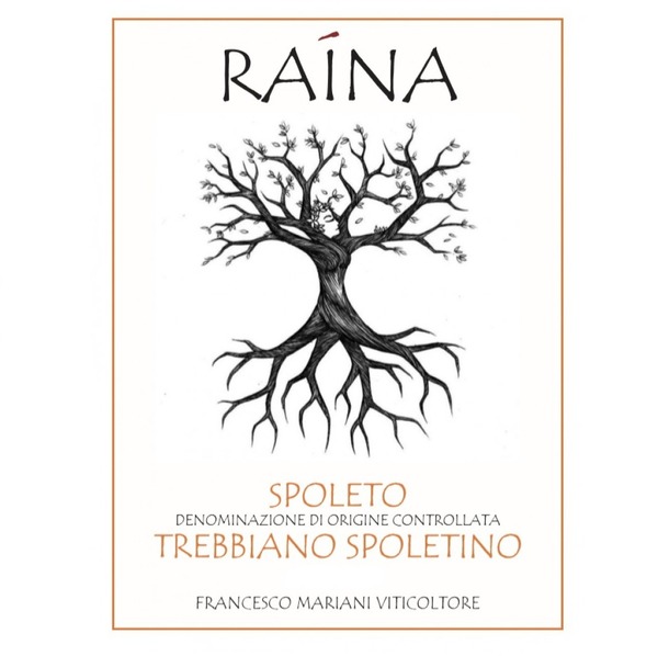 plp_product_/wine/raina-trebbiano-spoletino-doc-2020