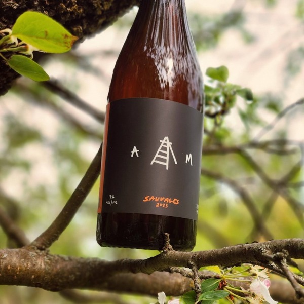 plp_product_/wine/les-cidres-aurea-mediocritas-sauvage