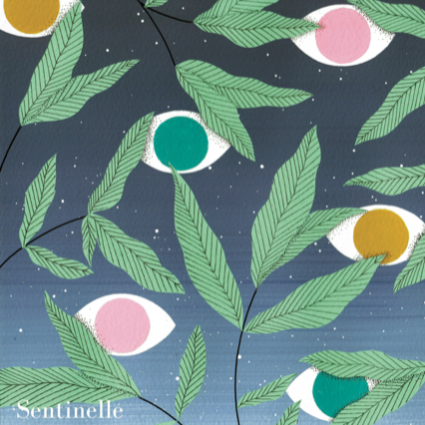 plp_product_/wine/les-salicaires-sentinelle-2022