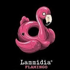 plp_product_/wine/lammidia-flamingo-2021