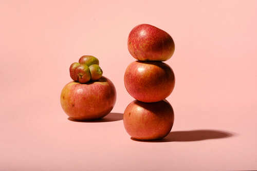 gallery_imgs