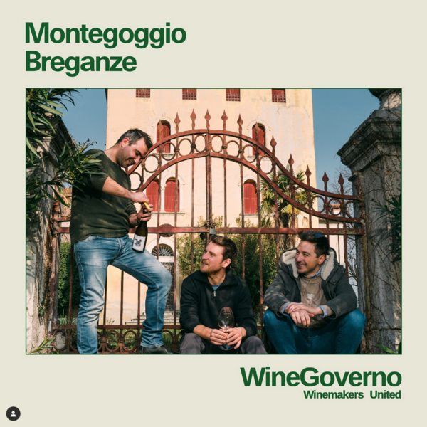 plp_product_/profile/winegoverno-srl