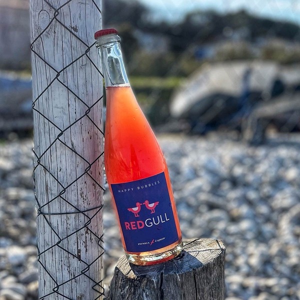 plp_product_/wine/pivnica-cajkov-red-gull-2023