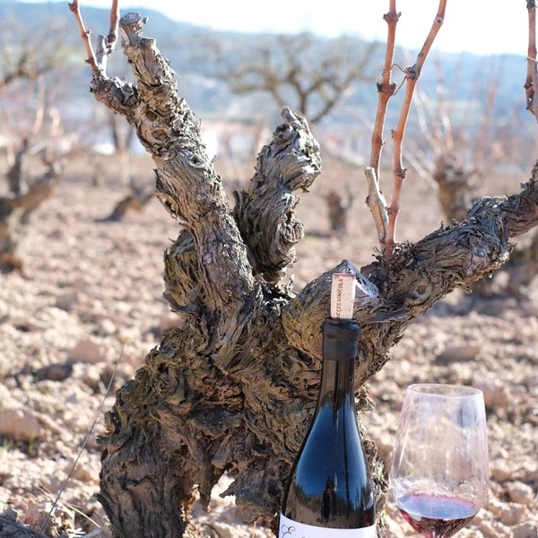 plp_product_/wine/celler-succes-vinicola-el-sola