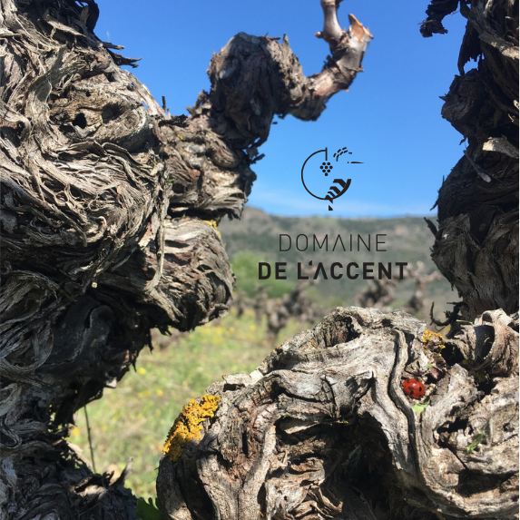 plp_product_/profile/domaine-de-l-accent