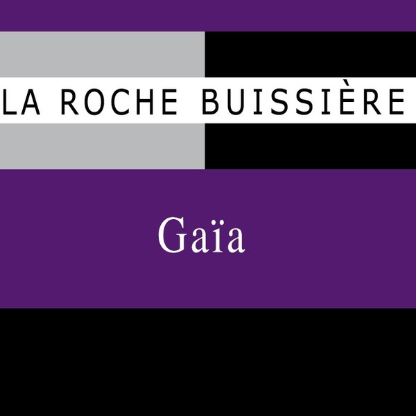 plp_product_/wine/domaine-la-roche-buissiere-gaia-2014