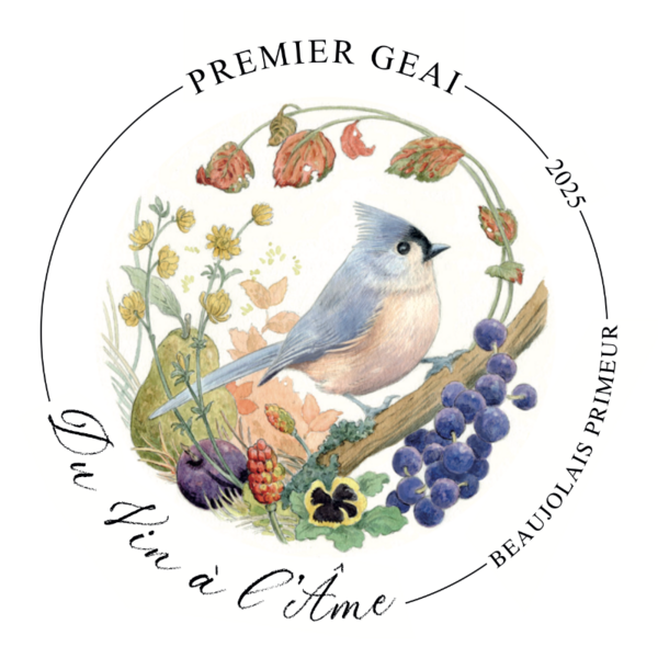plp_product_/wine/du-vin-a-l-ame-premier-geai-2025