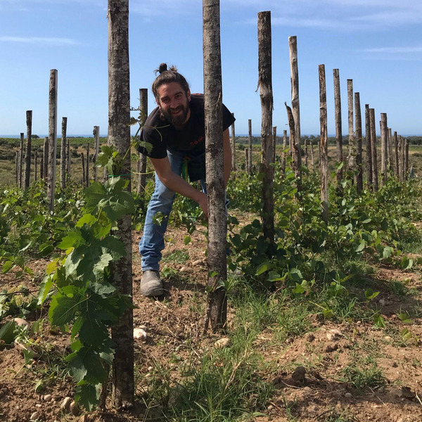 plp_product_/profile/azienda-agricola-calogero-caruana
