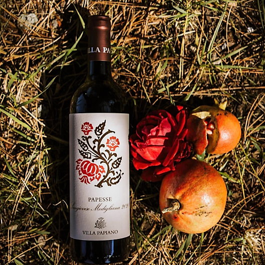 plp_product_/wine/villa-papiano-vigna-papesse-2020