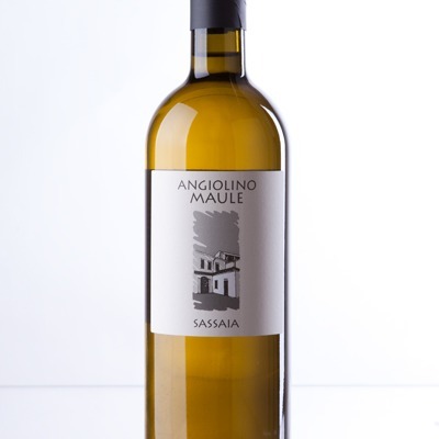 plp_product_/wine/la-biancara-sassaia-2021