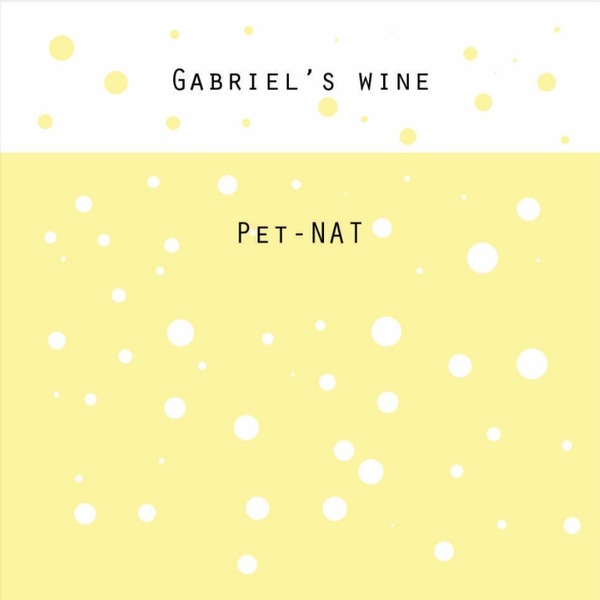 plp_product_/wine/gabriel-s-wine-chinuri-pet-nat-2022