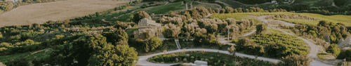 gallery_imgs