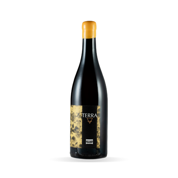 plp_product_/wine/azienda-agricola-macciocca-terra-2024-red