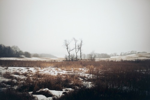 gallery_imgs