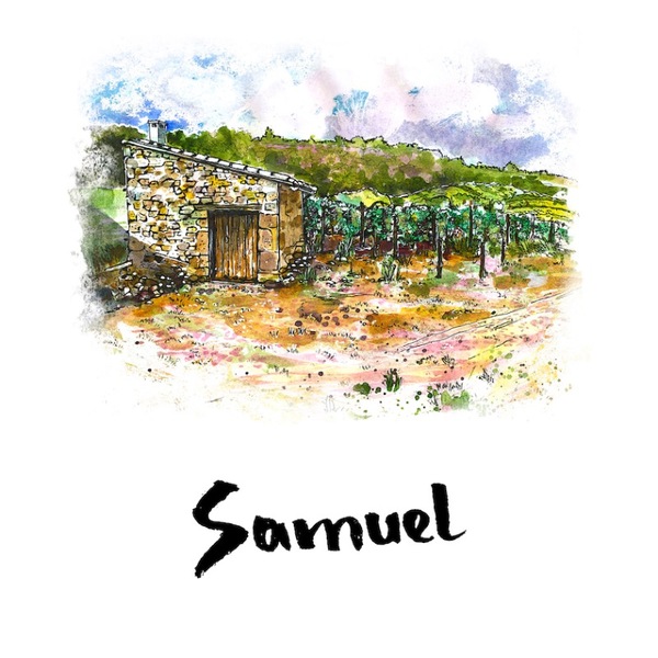 plp_product_/wine/sifer-wines-samuel-2021