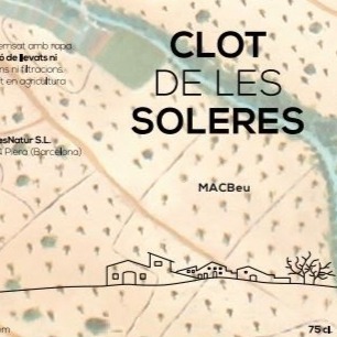 plp_product_/wine/clot-de-les-soleres-macabeu-2019