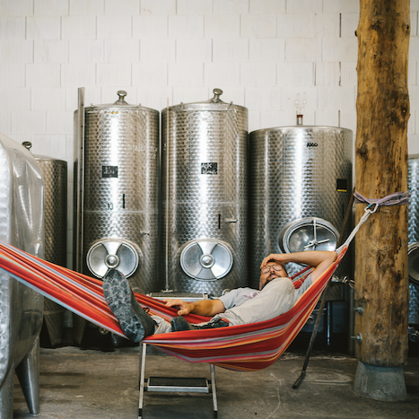 plp_product_/profile/winzerhof-linder