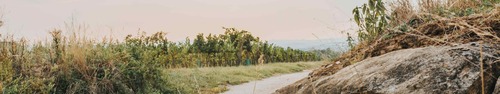 gallery_imgs