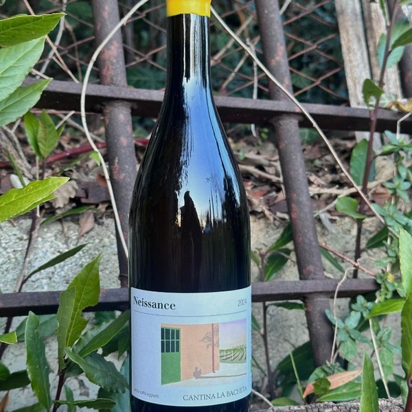 plp_product_/wine/cantina-la-bacheta-neissance-2024