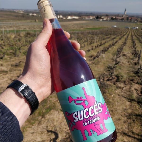 plp_product_/wine/celler-succes-vinicola-la-trompa