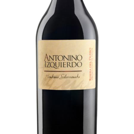 plp_product_/wine/paramo-de-corcos-antonino-izquierdo-2021