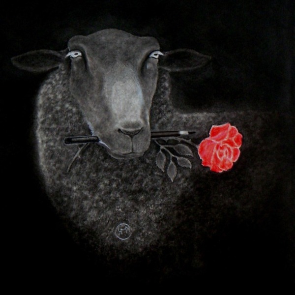 plp_product_/profile/mouton-noir