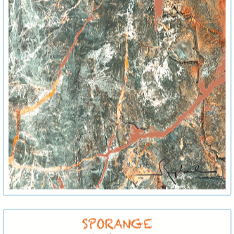 plp_product_/wine/domaine-blanc-plume-sporange-2024