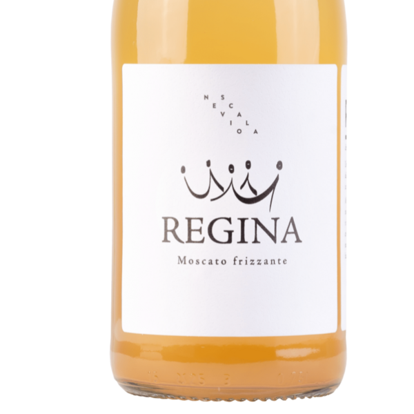 plp_product_/wine/uva-italy-nevio-scala-regina-2022