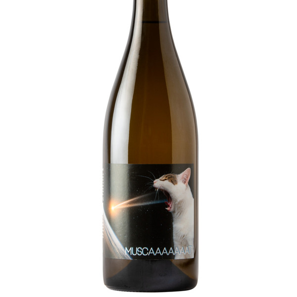 plp_product_/wine/caaaaaaat-muscaaaaaaat-2022-white