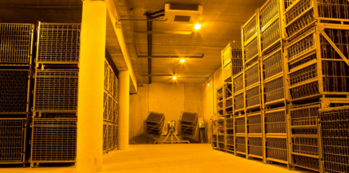gallery_imgs