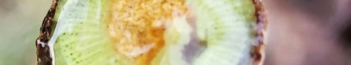 gallery_imgs