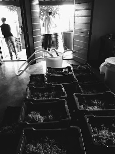 gallery_imgs