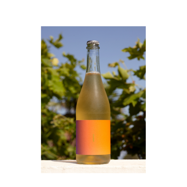 plp_product_/wine/omafrida-cuvee-n003