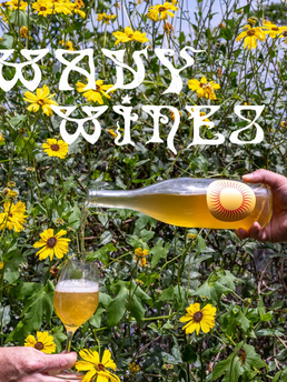 plp_product_/profile/wavy-wines