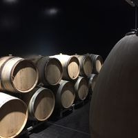 plp_product_/profile/du-vin-dans-les-voiles