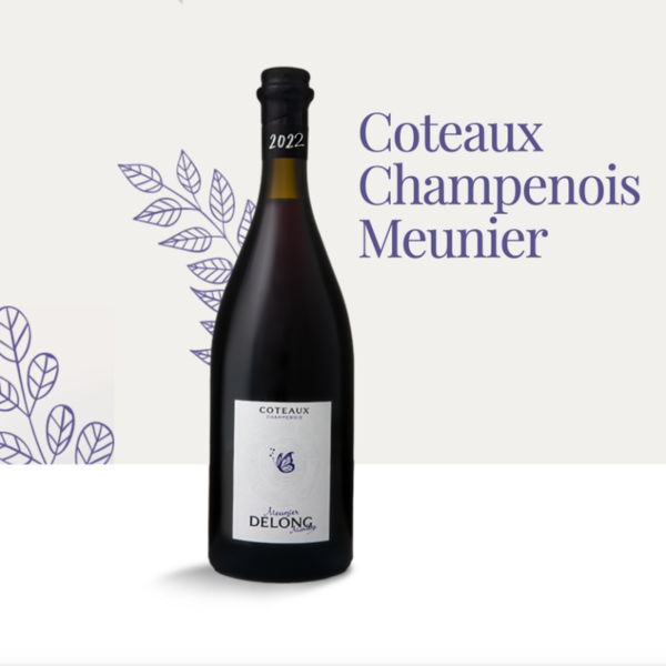plp_product_/wine/champagne-marlene-delong-coteaux-champenois-meunier-2022