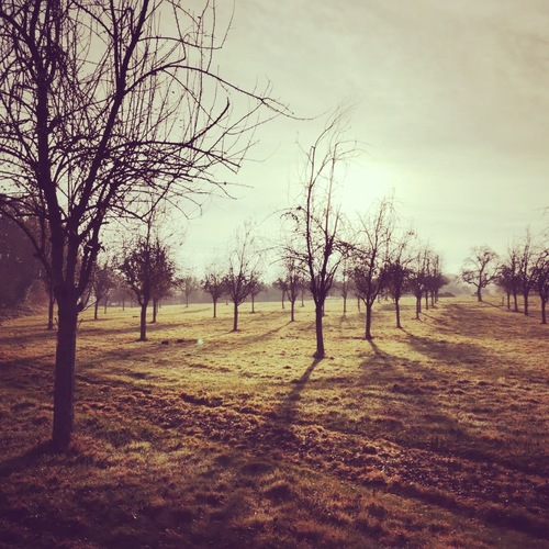 gallery_imgs