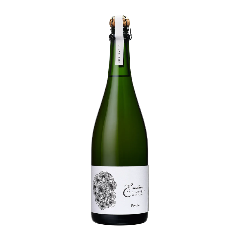 plp_product_/wine/champagne-vincent-cuillier-emeline-de-sloovere-psyche-extra-brut-coteaux-sud-d-epernay-emeline-de-sloovere-2022