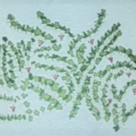 plp_product_/wine/famille-guerin-moulin-a-vent-la-vigne-de-mon-pere-aop