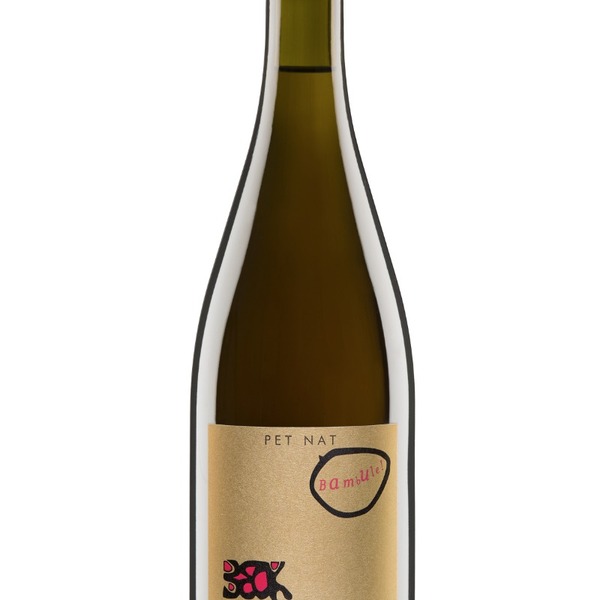plp_product_/wine/weingut-judith-beck-pet-nat-bambule-p-2022-rose