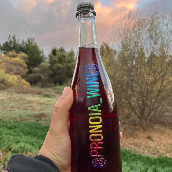 plp_product_/profile/pronoia-wines