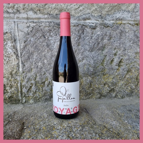 plp_product_/wine/vino-od-francuza-voyage-2020