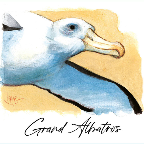 plp_product_/wine/domaine-des-albatros-grand-albatros-2025
