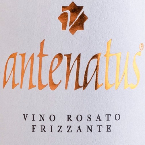 plp_product_/wine/valentina-cubi-antenatus