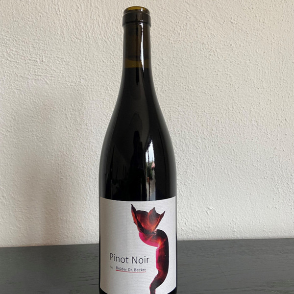plp_product_/wine/weingut-bruder-dr-becker-2024-pinot-noir-pure