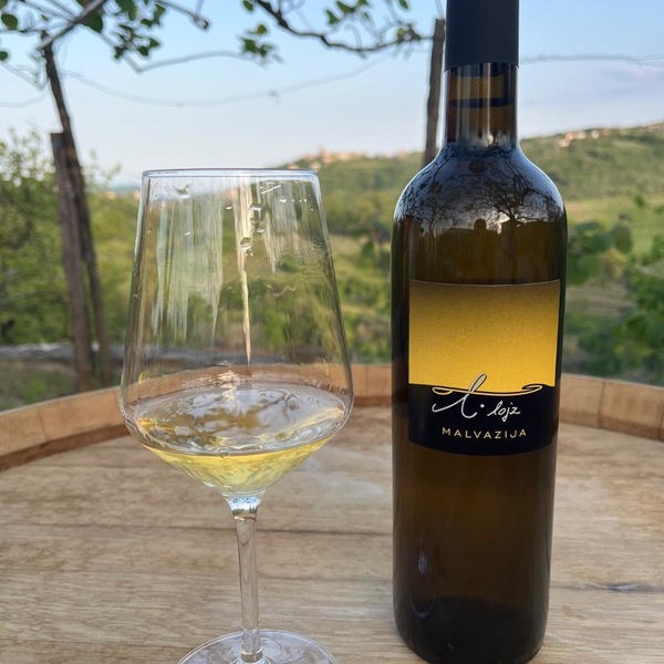 plp_product_/wine/kmetija-murenc-malvazija-2022
