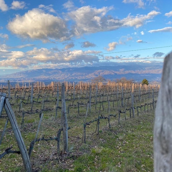 plp_product_/profile/podere-ortica