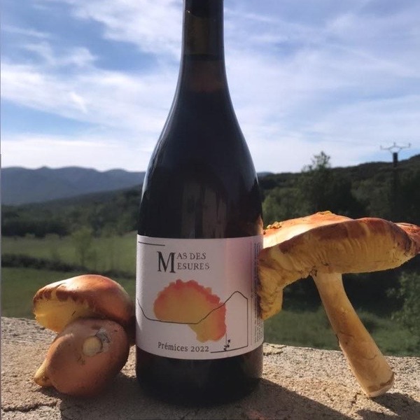 plp_product_/wine/mas-des-mesures-premices-2022