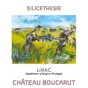 plp_product_/wine/chateau-boucarut-silicethesie-2021