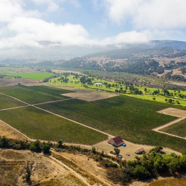 plp_product_/profile/coquelicot-estate-vineyard